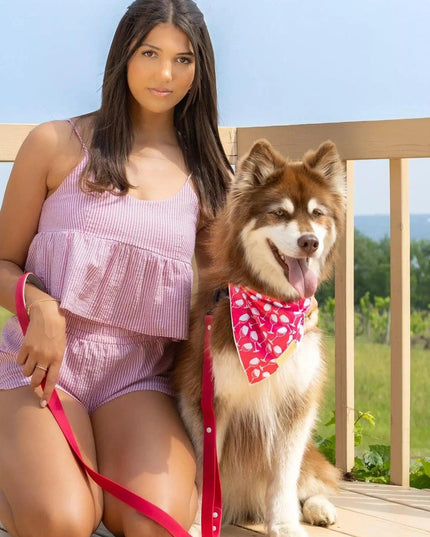 Crop Top w/ Ruffles & Matching Shorts Set