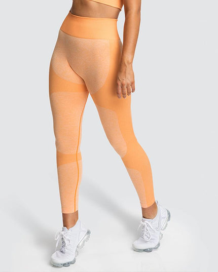 High Waist Athletic Seamless Yoga Leggings And Stretch Sports Bra