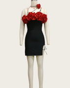 Black And Red / L